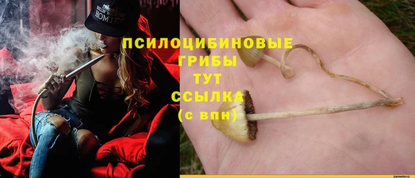 ешки Белоозёрский