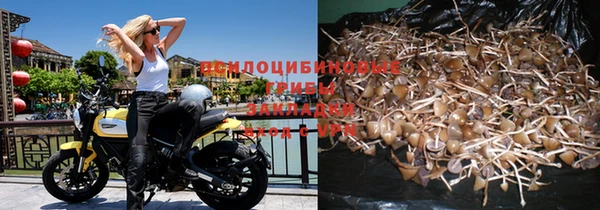 ешки Белоозёрский