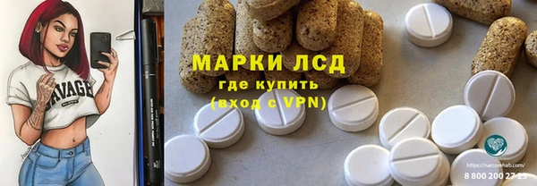 PSILOCYBIN Сосновый Бор