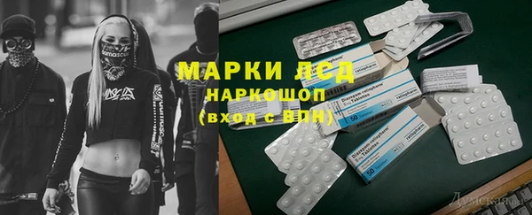 гидра Сосновоборск